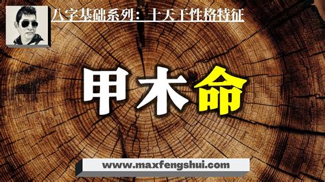 甲木命男|甲木的特点详解，甲木人性格分析